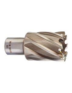 Freză inelară 31 mm [4932343287] 